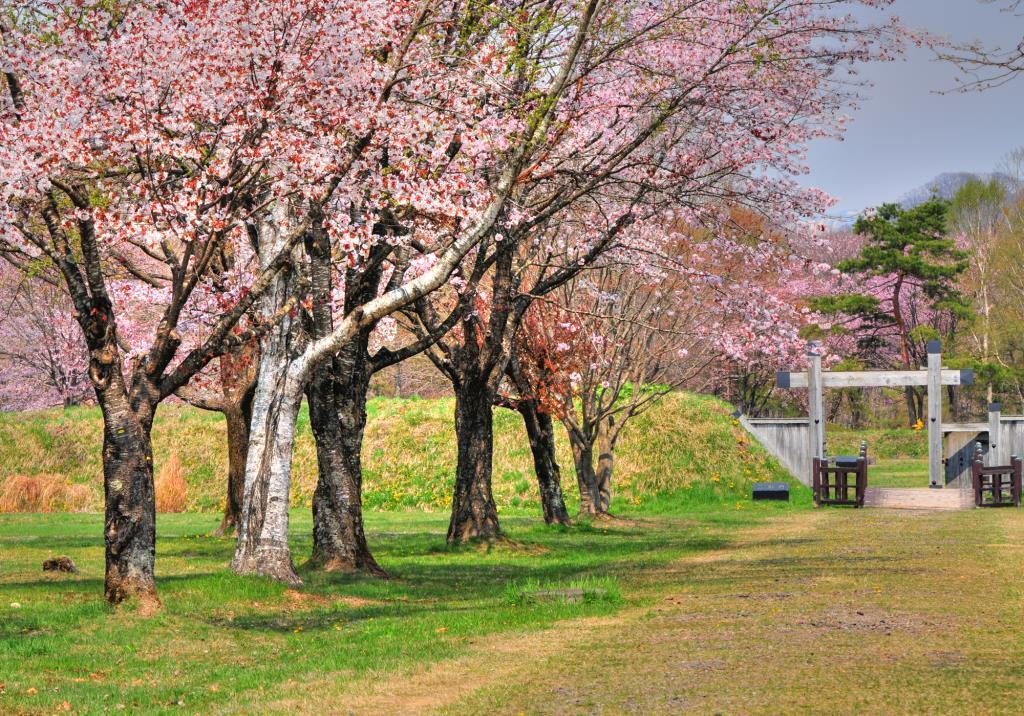 Hotel Izumi Shiraoi Exteriör bild